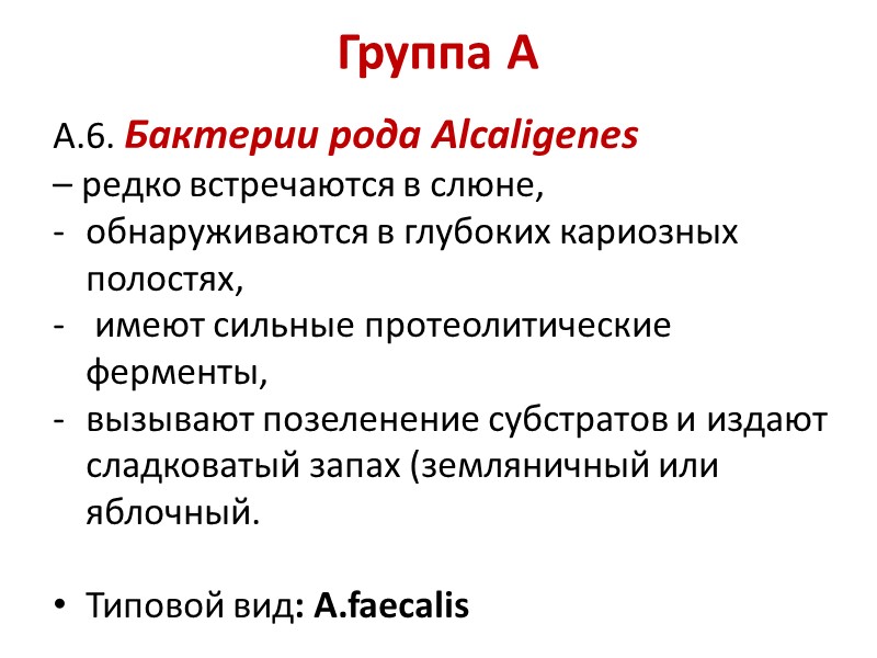 Группа А   А.6. Бактерии рода Alcaligenes  – редко встречаются в слюне,